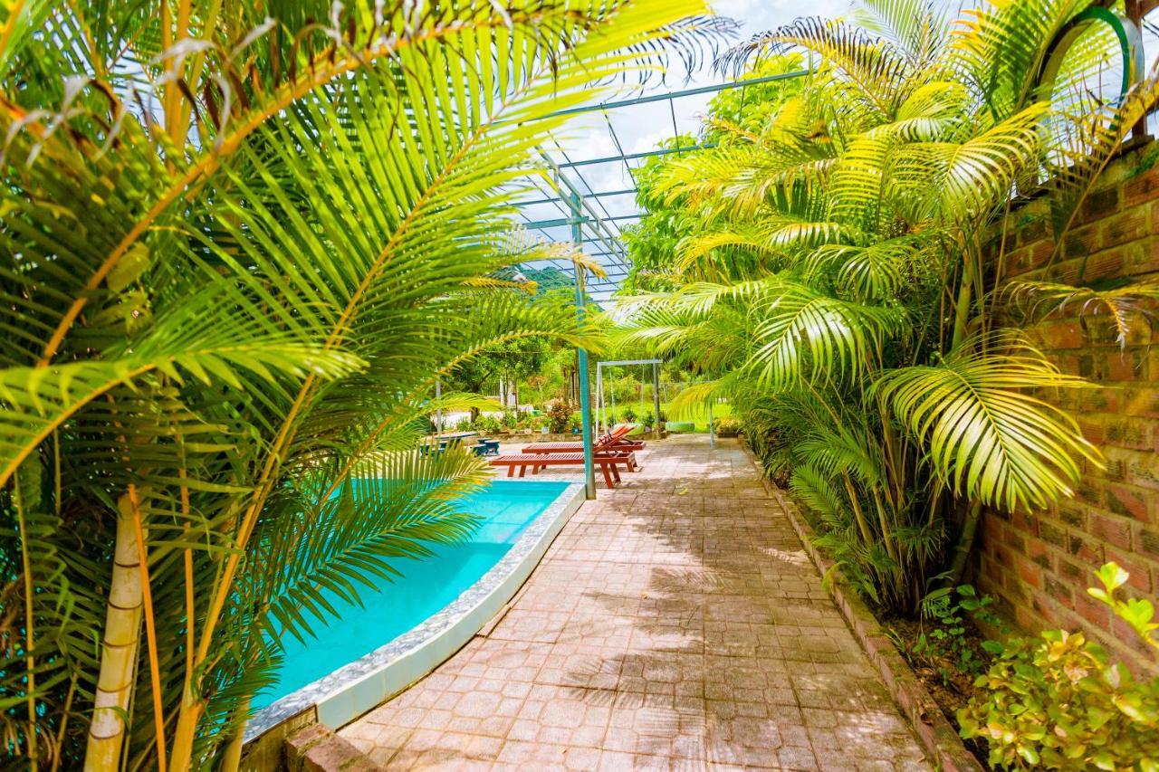 Phong Nha Amanda 2 Homestay Eksteriør bilde